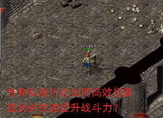 ����˽���л���θ�Ч��ļ��Ա����������ս������