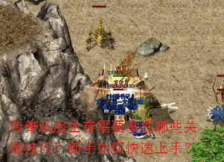 ����˽��������Ҫ������Щ�ؼ����ɣ�������ο������֣�