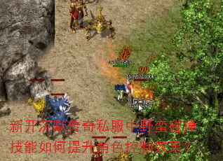 �¿���Ĭ����˽����Ұ����ײ�������������ɫ����Ч����