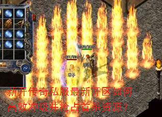 �¿�����˽�����¿�����θ�Ч�弶����ռ��ɱ��Դ��