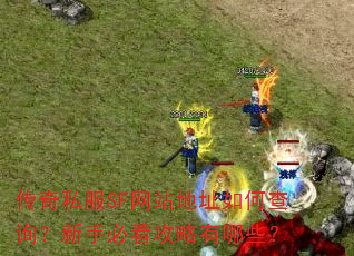 ����˽��SF��վ��ַ��β�ѯ�����ֱؿ���������Щ��