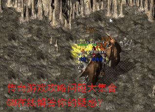 ������Ϸ��������󼯺�GM���߽������ɻ�