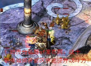 1.85����˽��sf��������սʿְҵ�����������������ս������