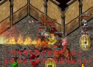 1.85����˽��sf��������սʿְҵ�����������������ս������