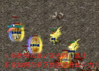 1.85����˽��sf��������սʿְҵ�����������������ս������