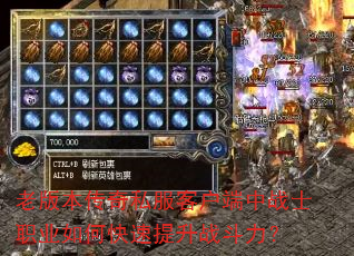 �ϰ汾����˽���ͻ�����սʿְҵ��ο�������ս������