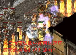 ���ƴ���˽������ο��ٻ�ȡ����װ��������ս����