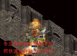 冬瓜传奇私服SF新手如何快速提升战力与等级? 冬瓜传奇私服SF新手如何快速提升战力与等级?