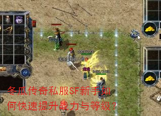 冬瓜传奇私服SF新手如何快速提升战力与等级? 冬瓜传奇私服SF新手如何快速提升战力与等级?
