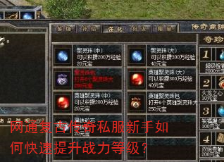 ��ͨ���Ŵ���˽��������ο�������ս���ȼ���