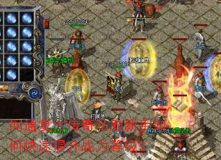 ��ͨ���Ŵ���˽��������ο�������ս���ȼ���