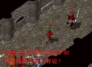 ��ͨ���Ŵ���˽��������ο�������ս���ȼ���