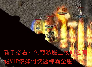 ���ֱؿ�������˽�����߼�������VIP����ο��ٳư�ȫ����