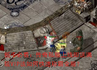 ���ֱؿ�������˽�����߼�������VIP����ο��ٳư�ȫ����