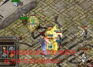 ����˽�������ο�������ս���������ռ�BOSS��