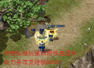 ����˽�������ο�������ս���������ռ�BOSS��