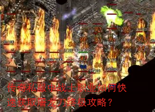 ����˽����սʿְҵ��ο��ٻ�ȡ�������ռ����ԣ�