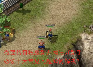 ΢�䴫��˽���¿���վsf���ֱض�ʮ�󳣼�������ν����