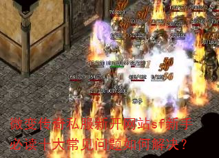 ΢�䴫��˽���¿���վsf���ֱض�ʮ�󳣼�������ν����