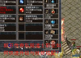 新开传奇私服道士职业如何快速升级与技能搭配? 新开传奇私服道士职业如何快速升级与技能搭配?