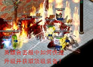 Ӣ�ۺϻ�������ο�����������ȡ����װ����