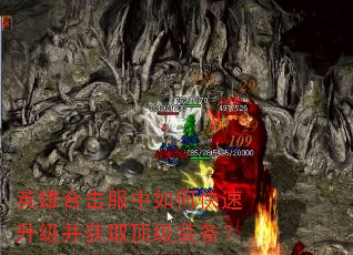 Ӣ�ۺϻ�������ο�����������ȡ����װ����