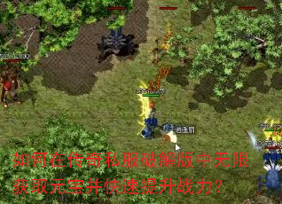 ����ڴ���˽���ƽ�������޻�ȡԪ������������ս����