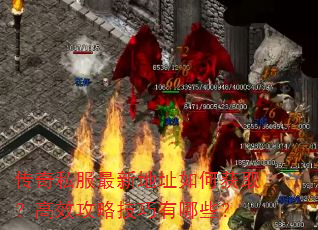 ����˽�����µ�ַ��λ�ȡ����Ч���Լ�������Щ��