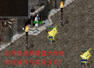 ��ο�������ʢ������Ҳ�����ʵս���ɣ�