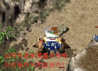 ��ο�������ʢ������Ҳ�����ʵս���ɣ�