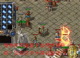 ���滳�ɷ�������ο����������������ַ����ر�����