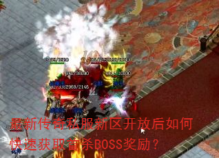 ���´���˽���������ź���ο��ٻ�ȡ��ɱBOSS������