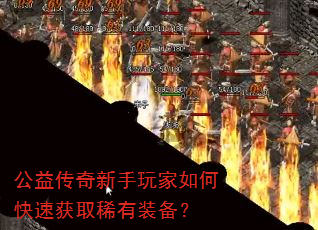 ���洫�����������ο��ٻ�ȡϡ��װ����