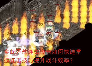 �����������������ο�������������������ս��Ч�ʣ�