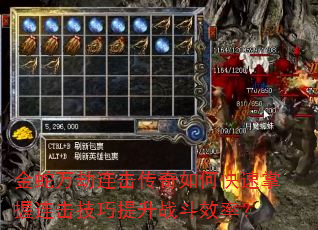 �����������������ο�������������������ս��Ч�ʣ�