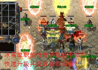 ��ѩ��ְҵ������Ϸ������ο�����������ȡϡ��װ����