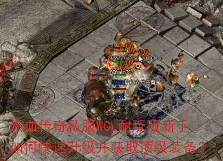 热血传奇私服WCL耐玩版新手如何快速升级并获取顶级装备? 热血传奇私服WCL耐玩版新手如何快速升级并获取顶级装备?