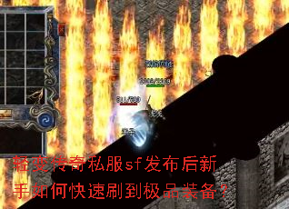 ��䴫��˽��sf������������ο���ˢ����Ʒװ����