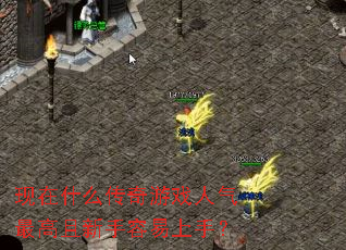 ����ʲô������Ϸ��������������������֣�