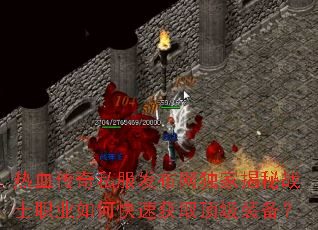 ��Ѫ����˽�����������ҽ���սʿְҵ��ο��ٻ�ȡ����װ����