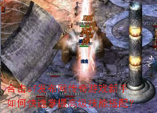 �ϻ�sf������������Ϸ������ο������ո߼����ܴ��䣿