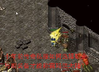 ʮ��ǰ����˽�����ѡ��ְҵ��ˢװ�����ܳư��귨��½��