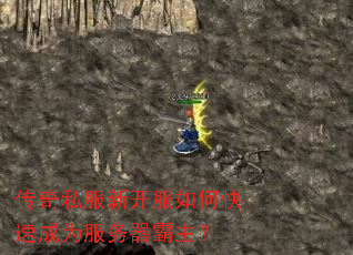 ����˽���¿�����ο��ٳ�Ϊ������������