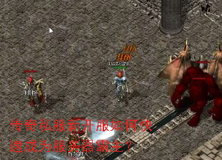 ����˽���¿�����ο��ٳ�Ϊ������������