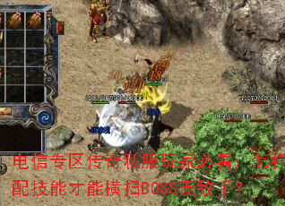 ����ר������˽����ұؿ����������似�ܲ��ܺ�ɨBOSS�޵��֣�