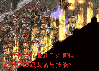 Ӷ����˵˽��������ο��ٻ�ȡ����װ���뼼�ܣ�