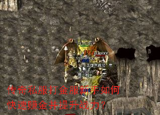 ����˽������������ο���׬������ս����