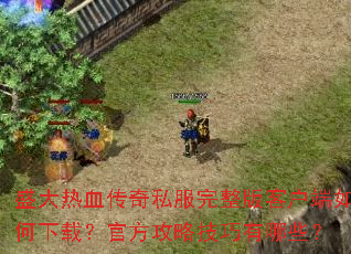 ʢ����Ѫ����˽��������ͻ���������أ��ٷ����Լ�������Щ��