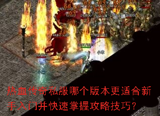 ��Ѫ����˽���ĸ��汾���ʺ��������Ų��������չ��Լ��ɣ�