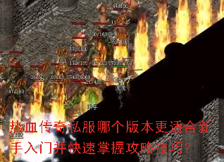 ��Ѫ����˽���ĸ��汾���ʺ��������Ų��������չ��Լ��ɣ�